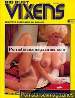 Adult magazine Big Bust Vixens Volume 3 No 3